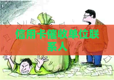 信用卡单位联系人
