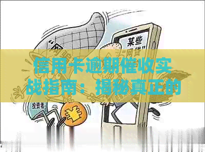信用卡逾期实战指南：揭秘真正的函样式与应对策略