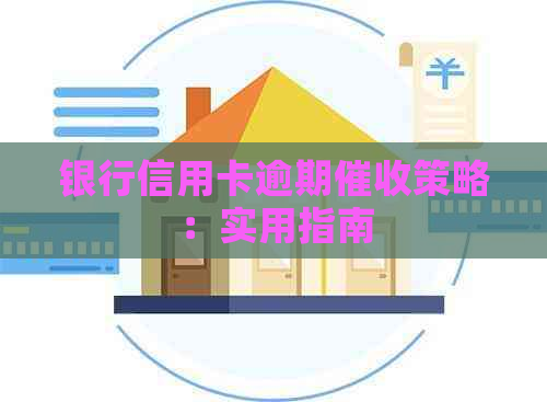 银行信用卡逾期策略：实用指南