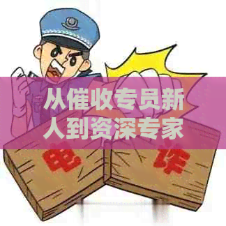 从专员新人到资深专家：全面回顾工作心得与经验分享