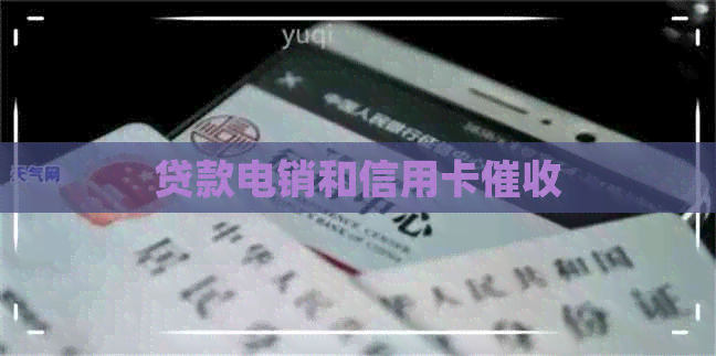 贷款电销和信用卡