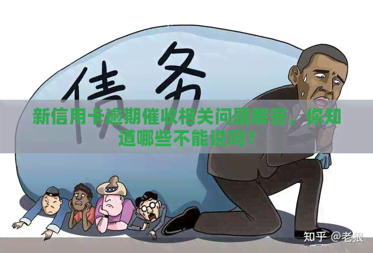 新信用卡逾期相关问题解答，你知道哪些不能说吗？