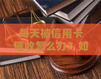 每天被信用卡怎么办？如何应对频繁的电话？投诉渠道与建议！