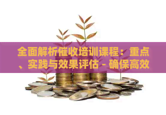 全面解析培训课程：重点、实践与效果评估 - 确保高效的债务追讨策略