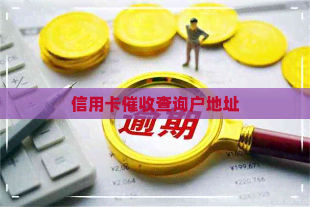 信用卡查询户地址