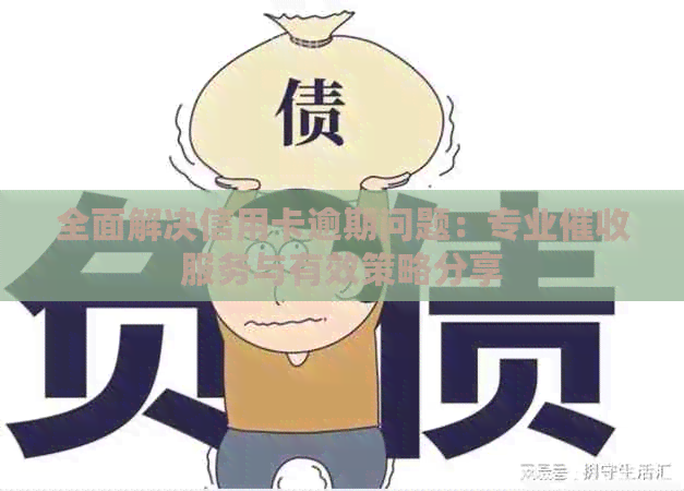 全面解决信用卡逾期问题：专业服务与有效策略分享