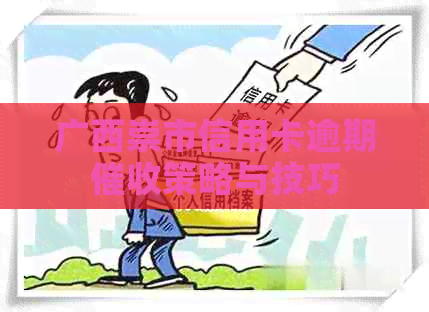 广西崇市信用卡逾期策略与技巧