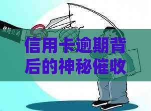 信用卡逾期背后的神秘人员：揭秘他们的工作模式与心理策略