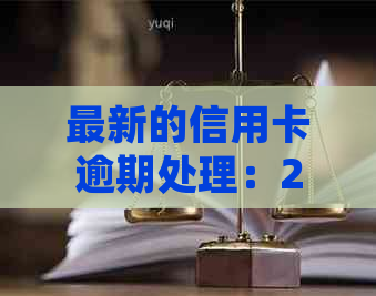 最新的信用卡逾期处理：2021年流程、标准与新法解析