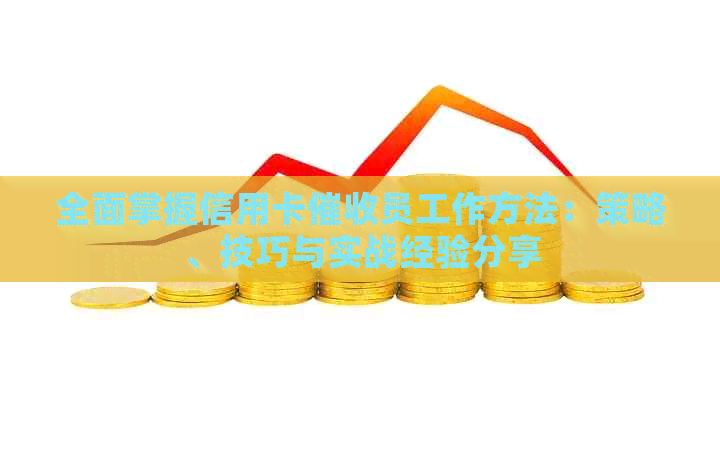 全面掌握信用卡员工作方法：策略、技巧与实战经验分享