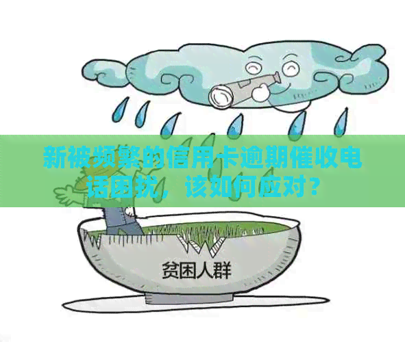 新被频繁的信用卡逾期电话困扰，该如何应对？