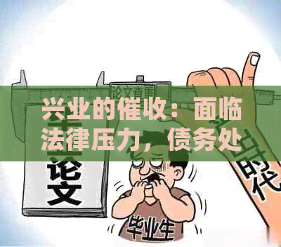 兴业的：面临法律压力，债务处理升级，如何应对？