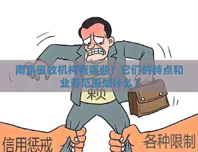 南京机构有哪些？它们的特点和业务范围是什么？