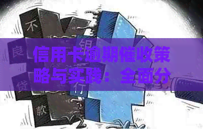 信用卡逾期策略与实践：全面分析、案例研究与应对建议