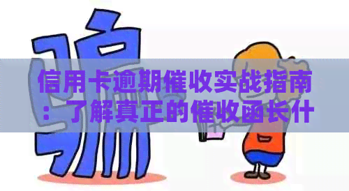 信用卡逾期实战指南：了解真正的函长什么样？