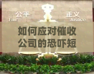 如何应对公司的短信：有效保护自己免受和的全面指南