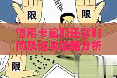 信用卡逾期还款时间及策略分析