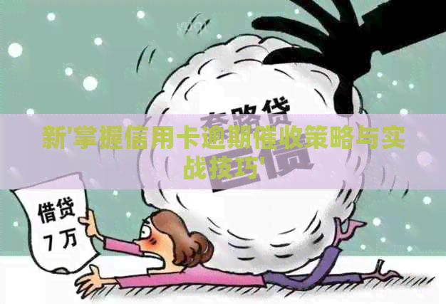 新'掌握信用卡逾期策略与实战技巧'