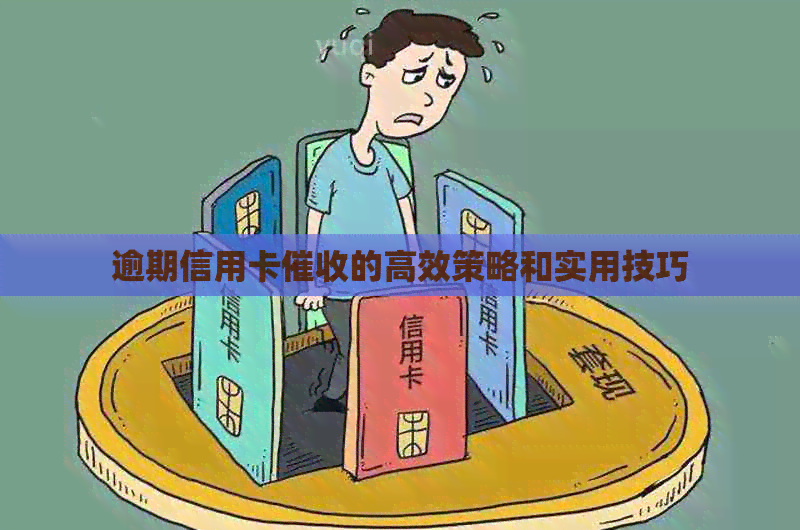 逾期信用卡的高效策略和实用技巧