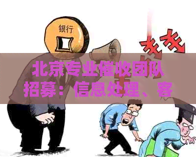 北京专业团队招募：信息处理、客户关系维护与收入增长并行