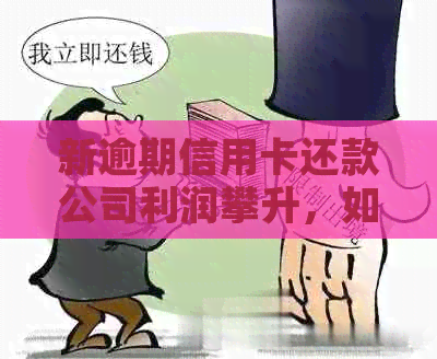 新逾期信用卡还款公司利润攀升，如何应对？