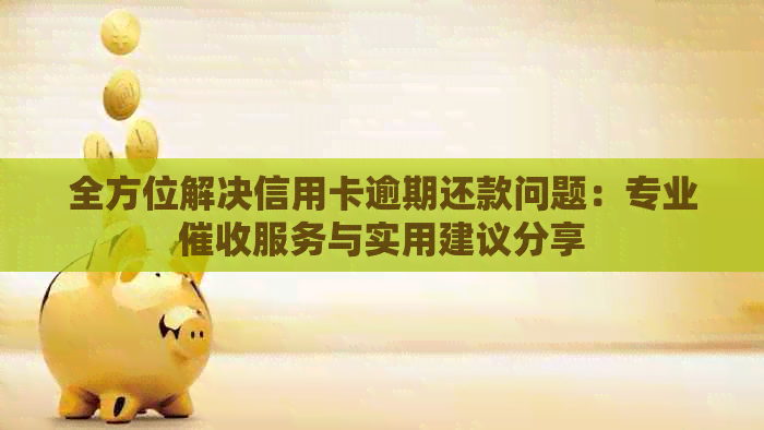 全方位解决信用卡逾期还款问题：专业服务与实用建议分享