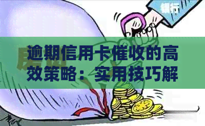 逾期信用卡的高效策略：实用技巧解析