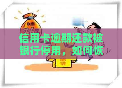 信用卡逾期还款被银行停用，如何恢复信用与解决办法