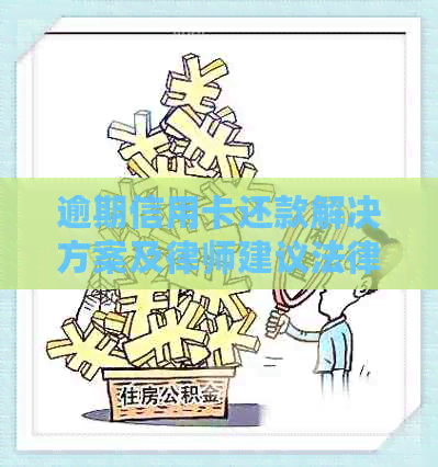 逾期信用卡还款解决方案及律师建议法律文书模板