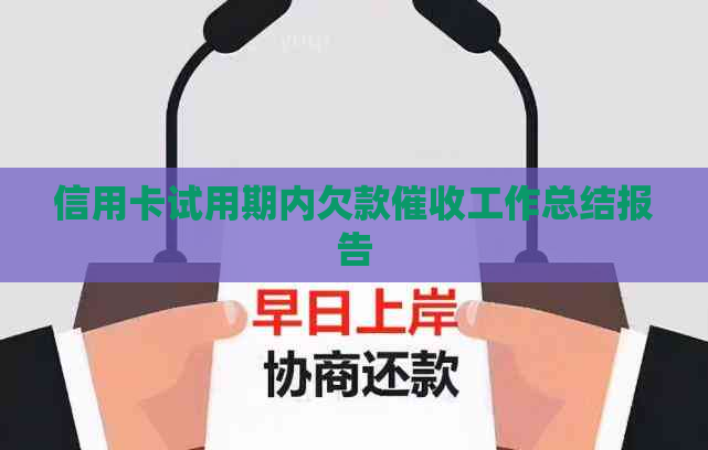 信用卡试用期内欠款工作总结报告