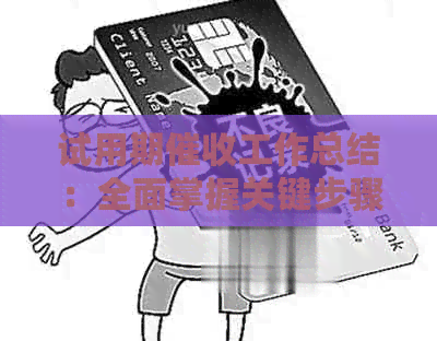 试用期工作总结：全面掌握关键步骤与技巧，有效提升效率与成功率