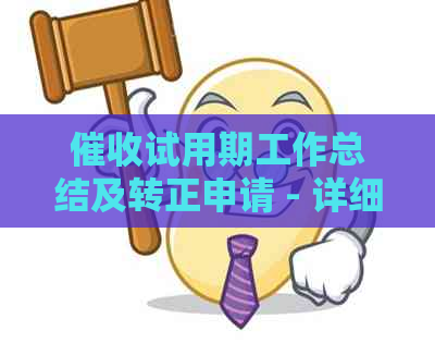 试用期工作总结及转正申请 - 详细报告、经验分享与建议