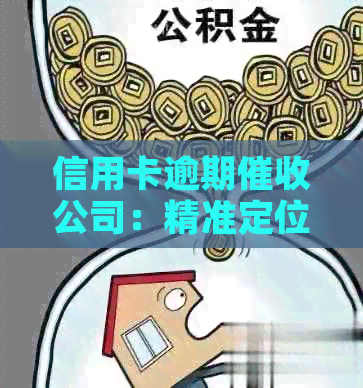 信用卡逾期公司：精准定位策略及其实践
