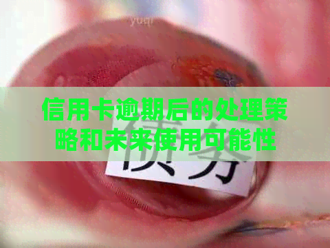 信用卡逾期后的处理策略和未来使用可能性