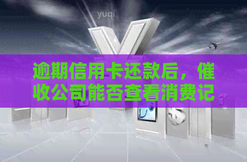 逾期信用卡还款后，公司能否查看消费记录以及如何防止个人信息泄露