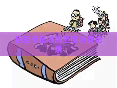 信用卡能查出消费记录
