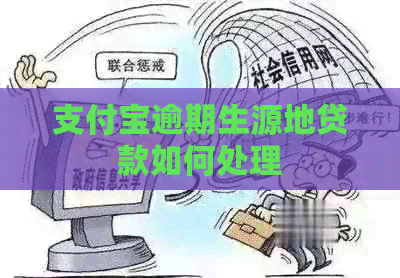 支付宝逾期生源地贷款如何处理