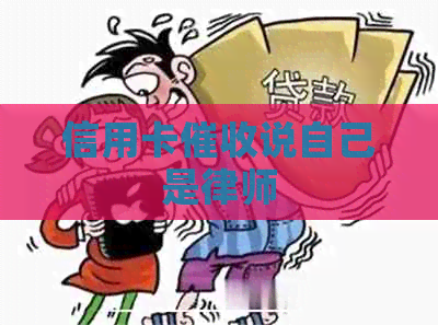 信用卡说自己是律师