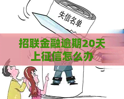 招联金融逾期20天上怎么办