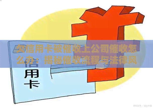 欠信用卡被上公司怎么办：揭秘流程与法律风险