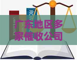 广东地区多家公司的比较与选择：哪家更适合您的需求？