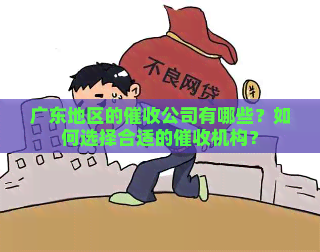 广东地区的公司有哪些？如何选择合适的机构？