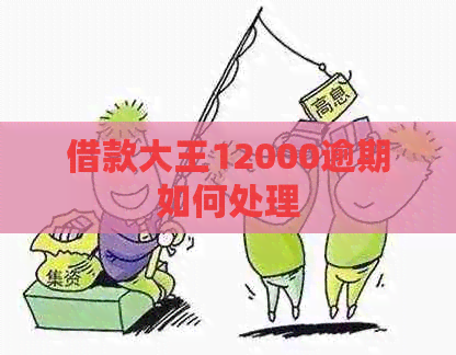 借款大王12000逾期如何处理