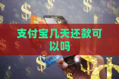 支付宝几天还款可以吗