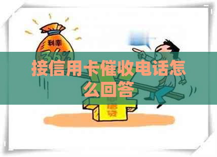 接信用卡电话怎么回答