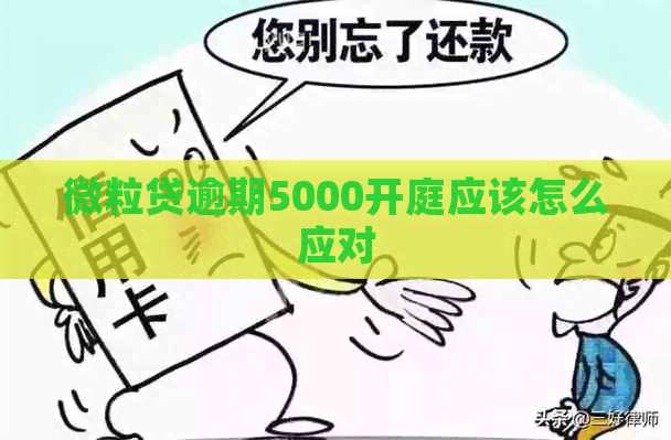 微粒贷逾期5000开庭应该怎么应对