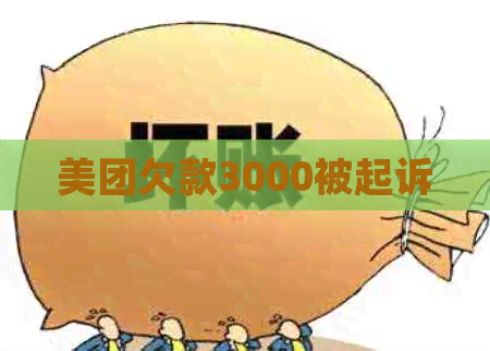 美团欠款3000被起诉