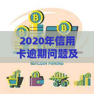 2020年信用卡逾期问题及其信用修复策略分析