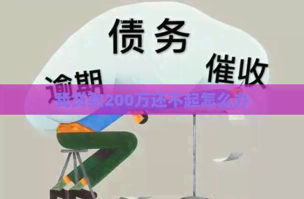 我贷款200万还不起怎么办