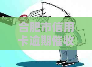 合肥市信用卡逾期相关政策及处理方式探讨